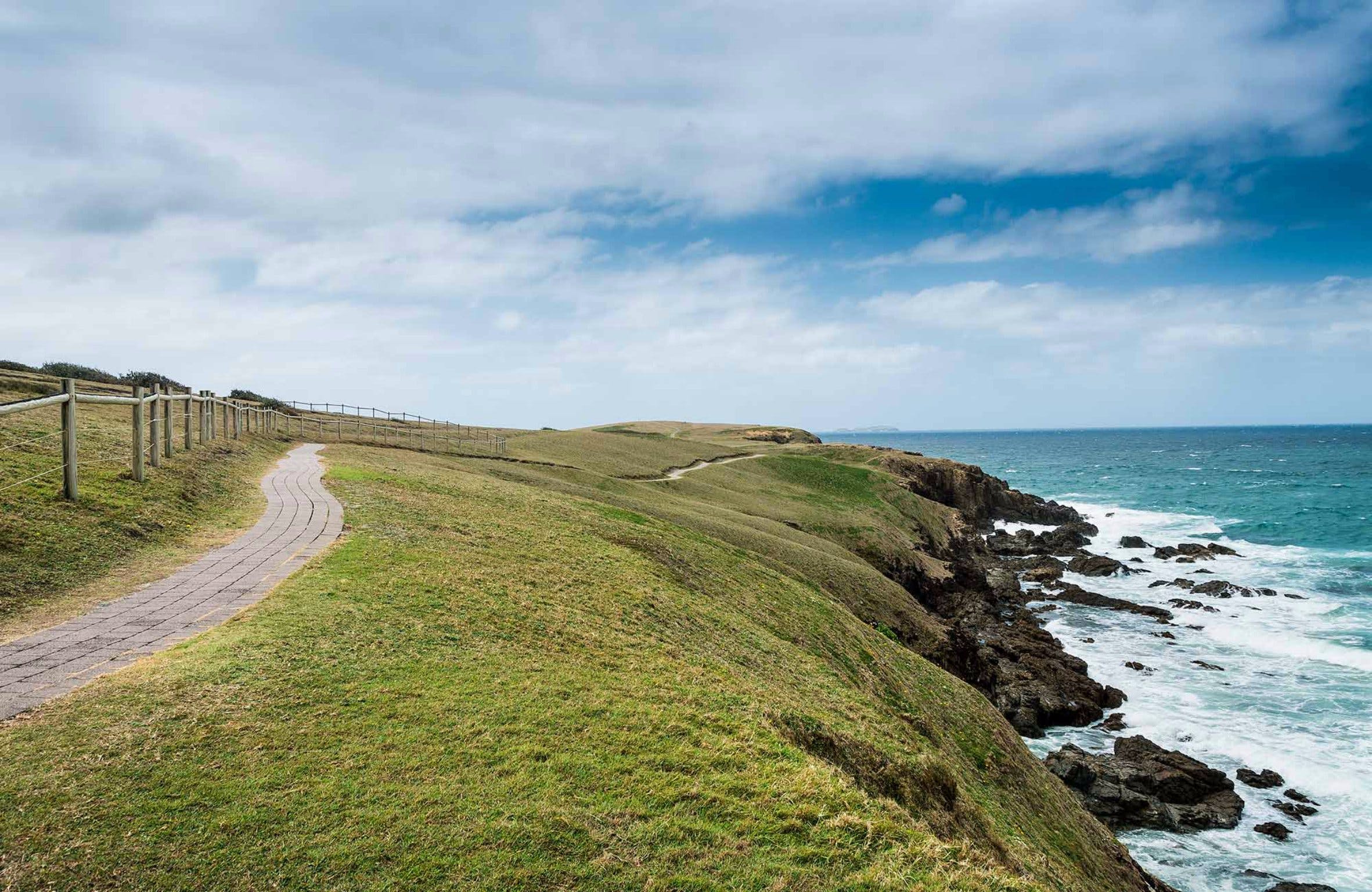 Look at me Now Healand walk, Moonee Beach Nature Reserve. Photo: David Young