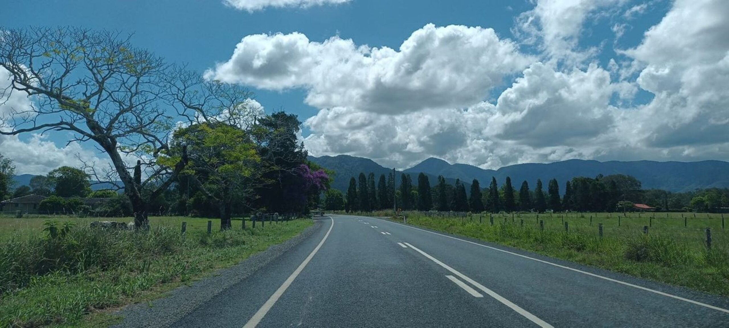 Waterfall Way near Bellingen