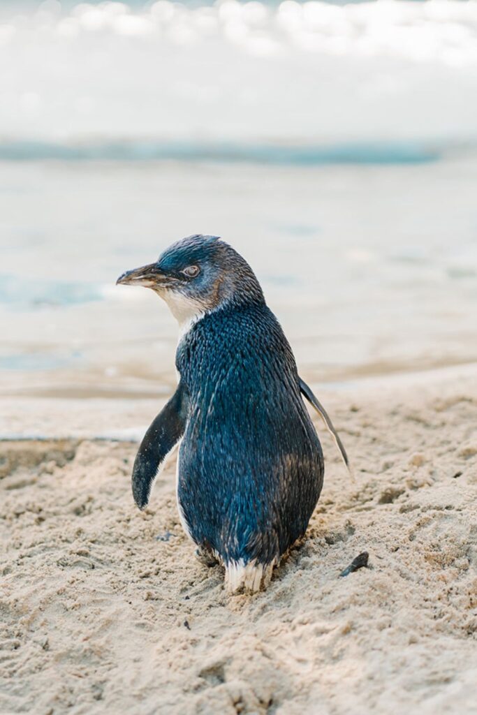 Sam Is Now 18 Years Old!