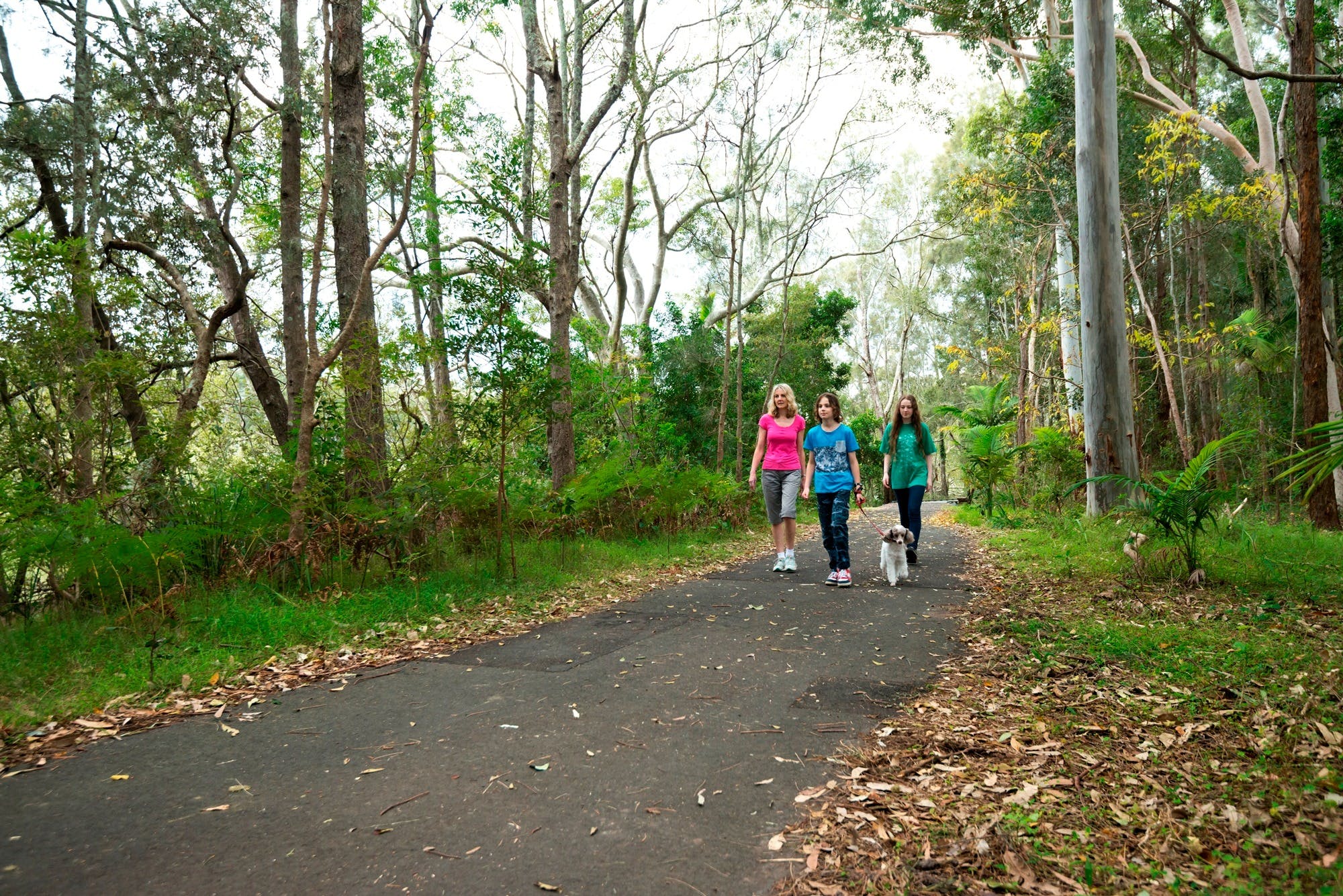 Coffs Creek Loop