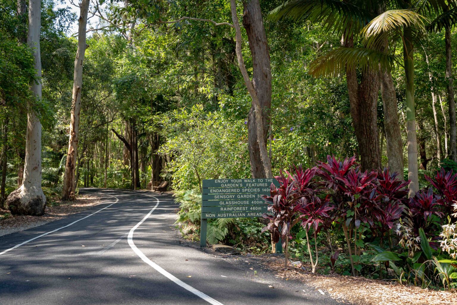Take a Garden Discovery Tour Every Sunday