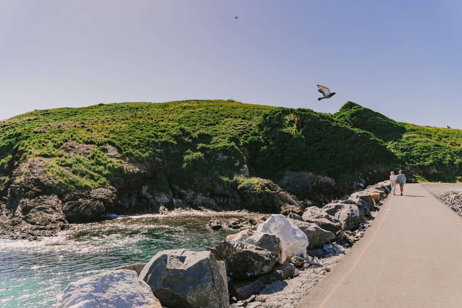 Take A Stroll Along The Marina Out To Muttonbird Island Nature Reserve