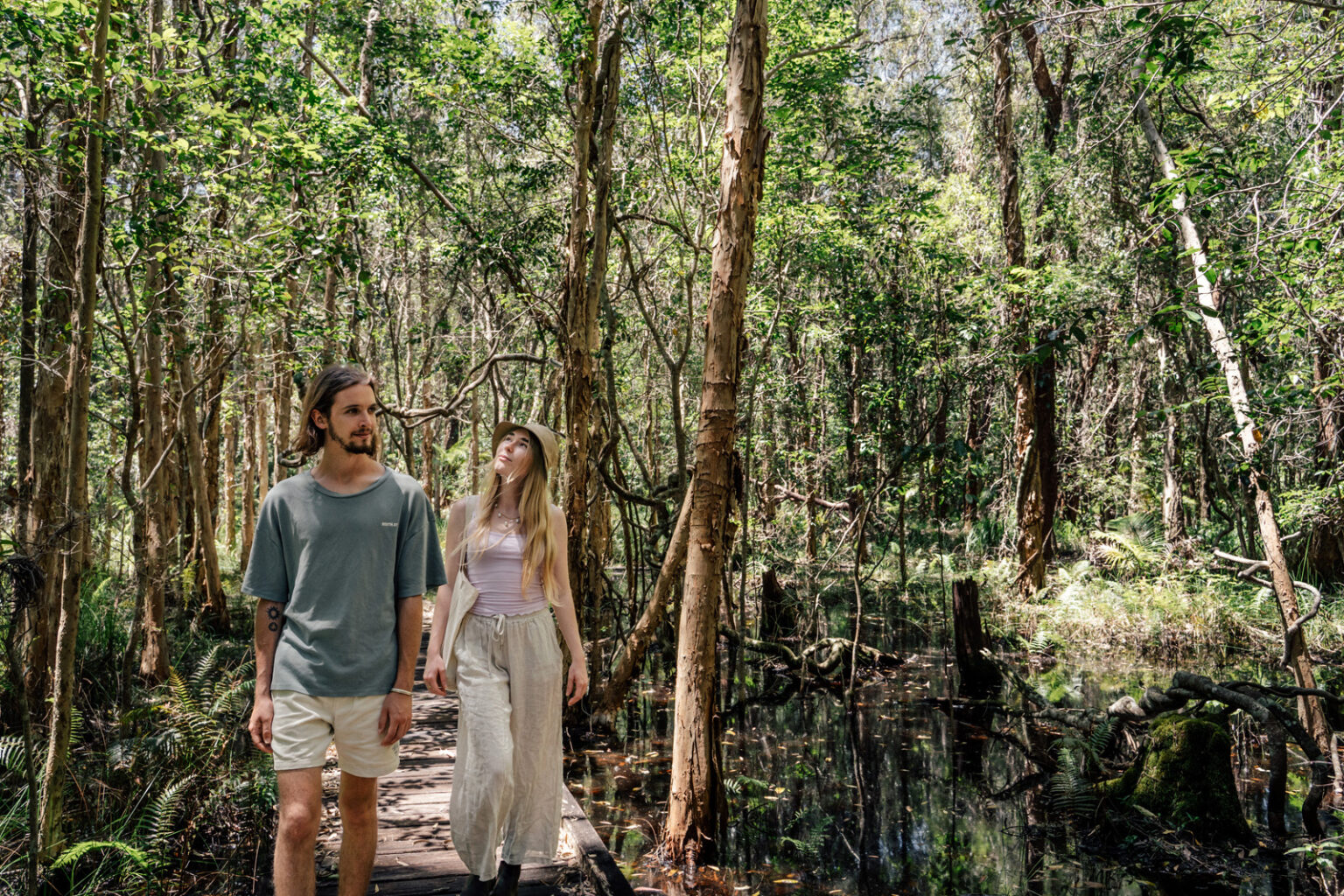 Take A Discovery Walk To Explore Indigenous Plant Use And More