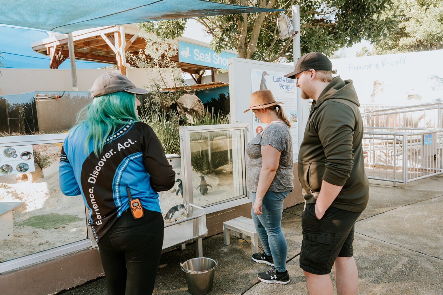 Meet Cheeky Little Blue Penguin On An Behind The Scenes Animal Experience