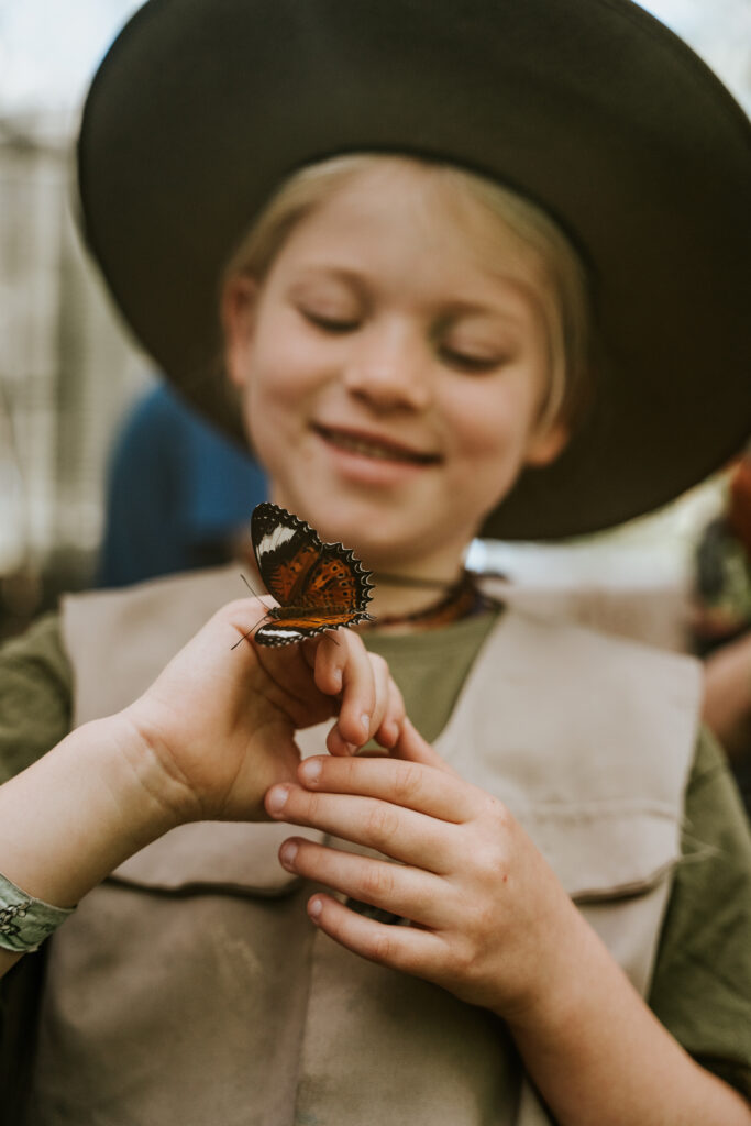 Learn About The Butterfly Lifecycle