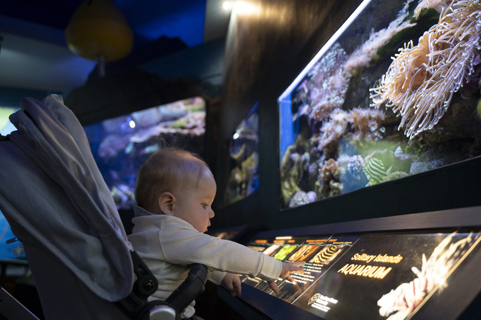 Get Up Close And Personal With Local Species