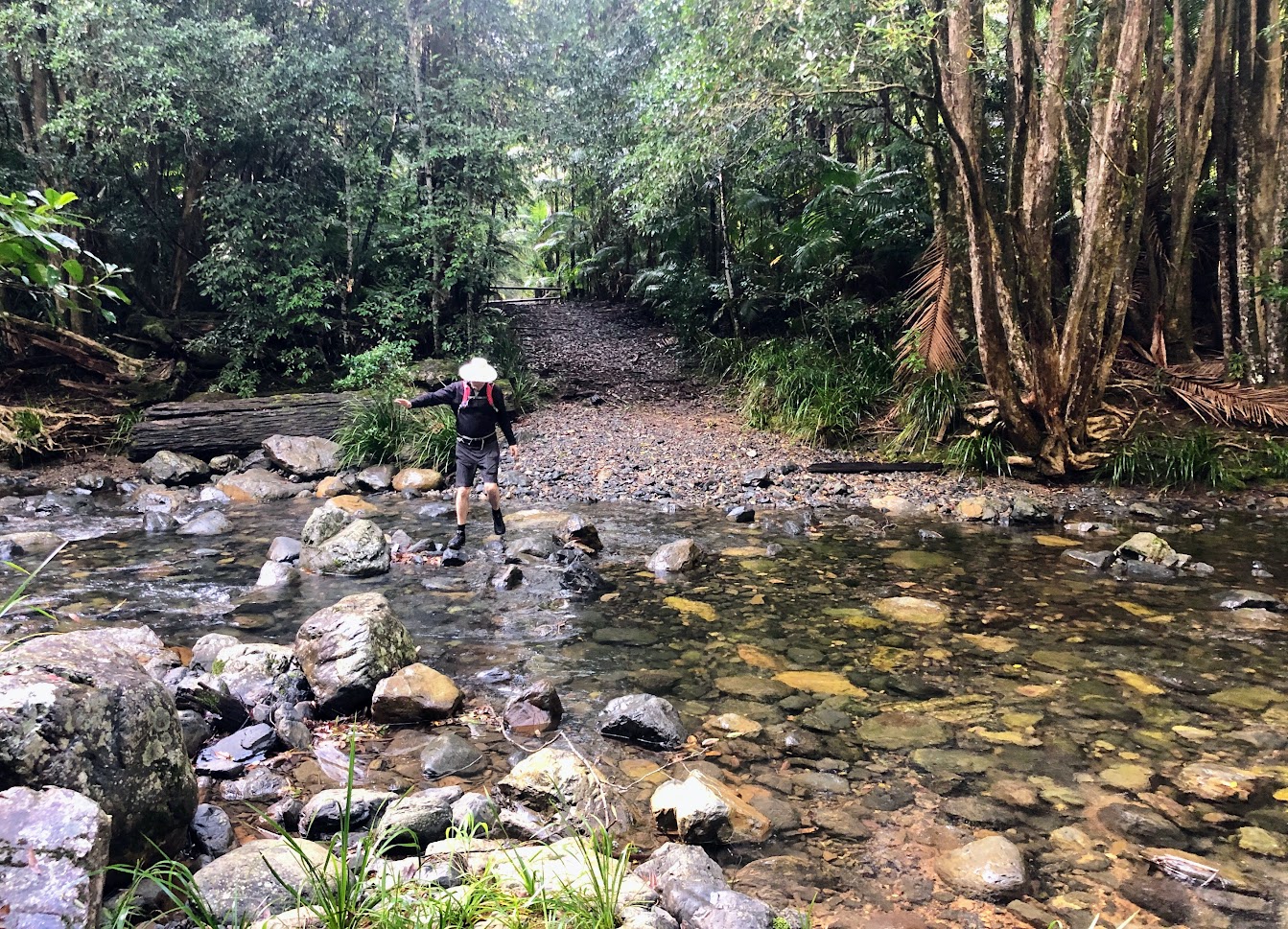 Trekking to Bangalore Falls over creek
