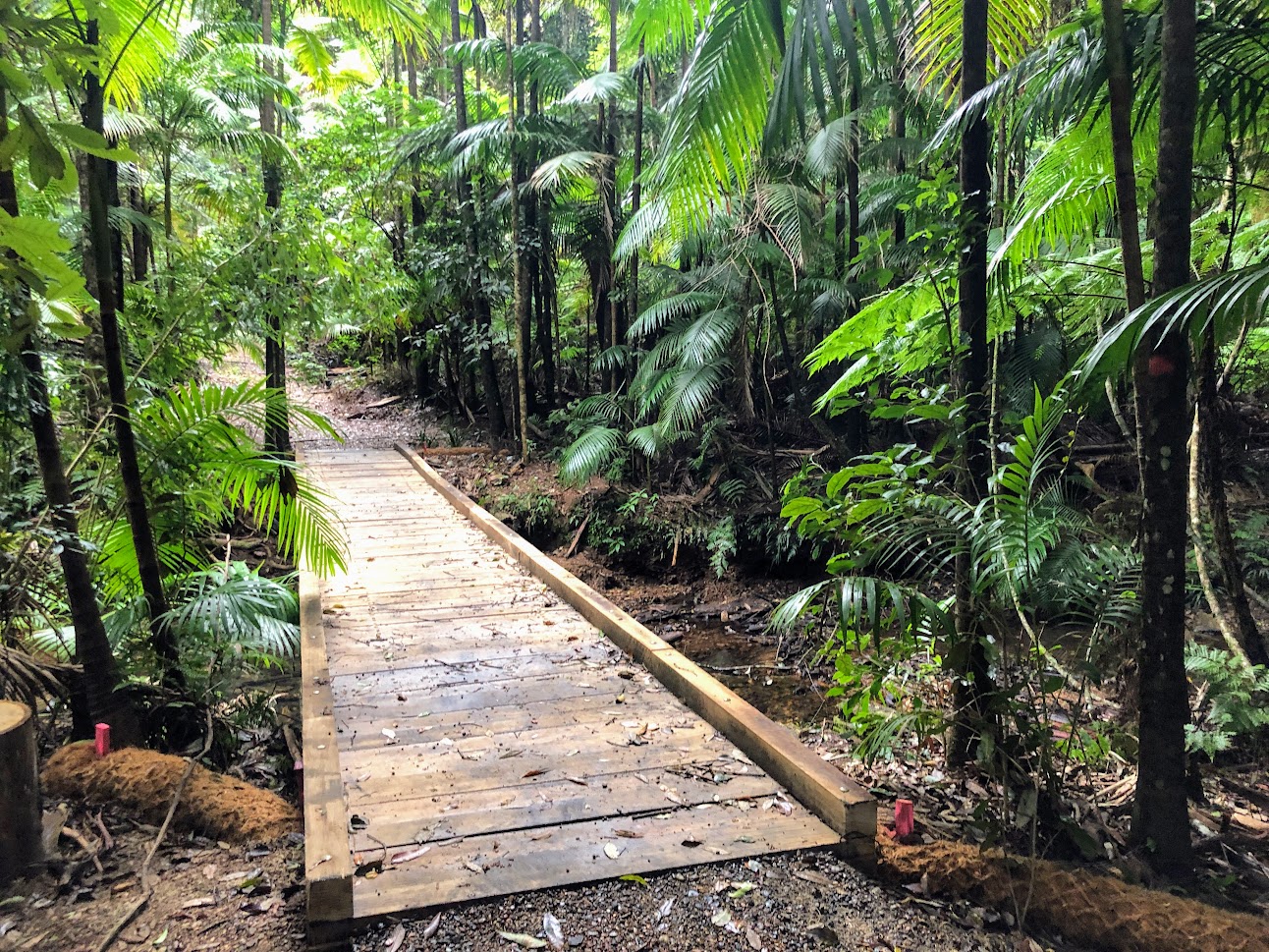 Bruxner Flora Reserve