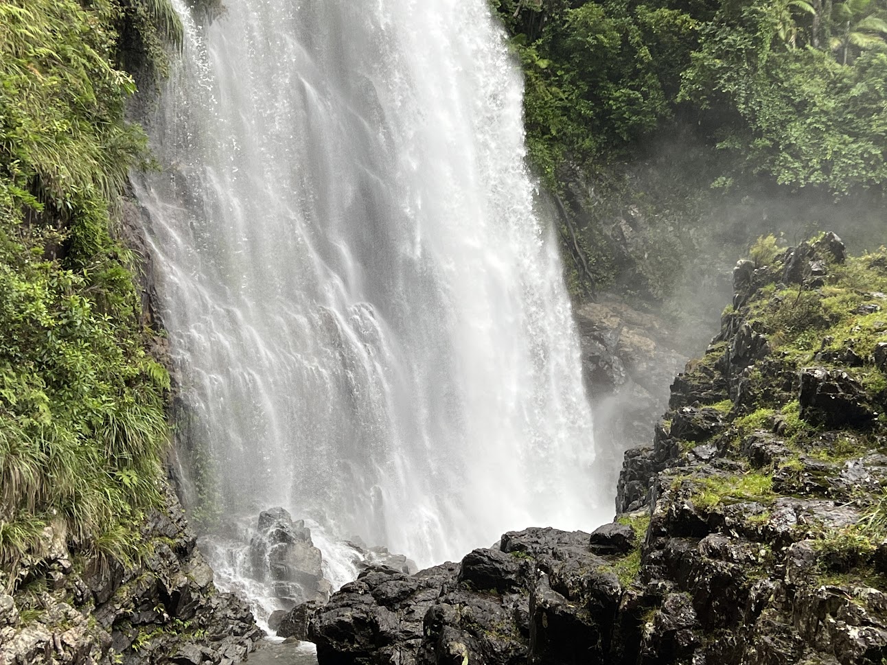Waterfalls at Red Cedar Falls Dorrigo
