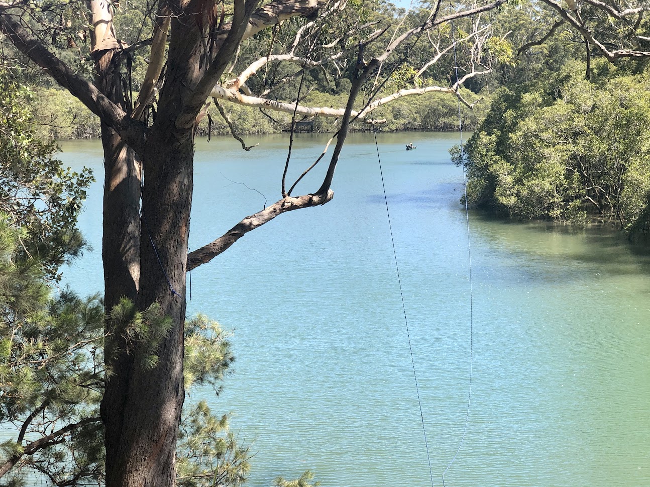 Hanging rope swing Coffs Creek