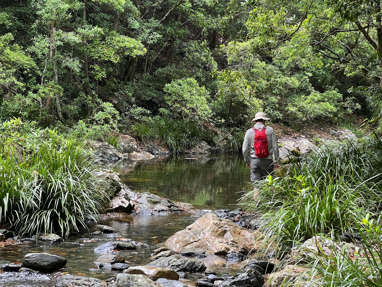 Hiking to Bangalore Falls