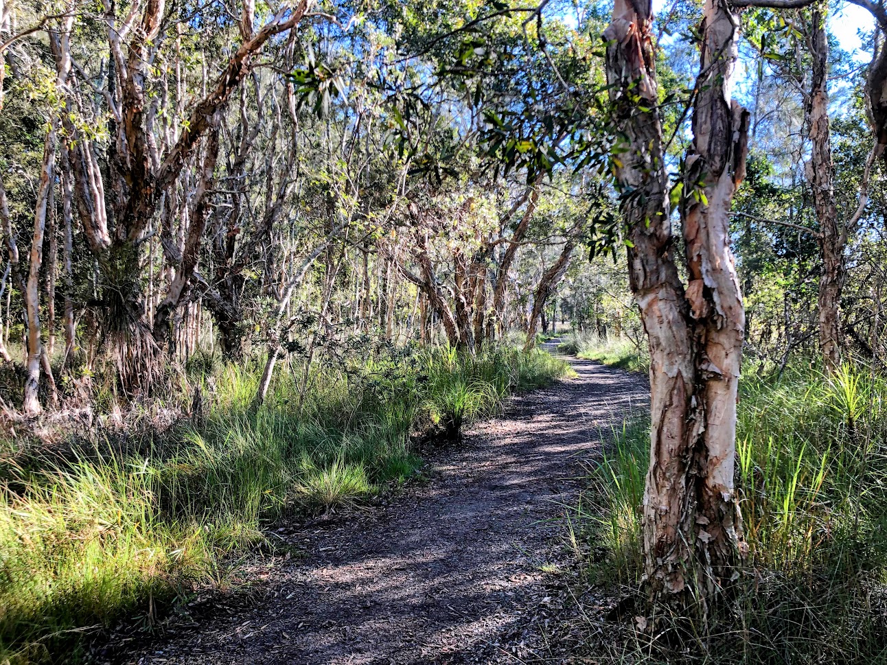 Following The Trail On Coffs Creek Walk
