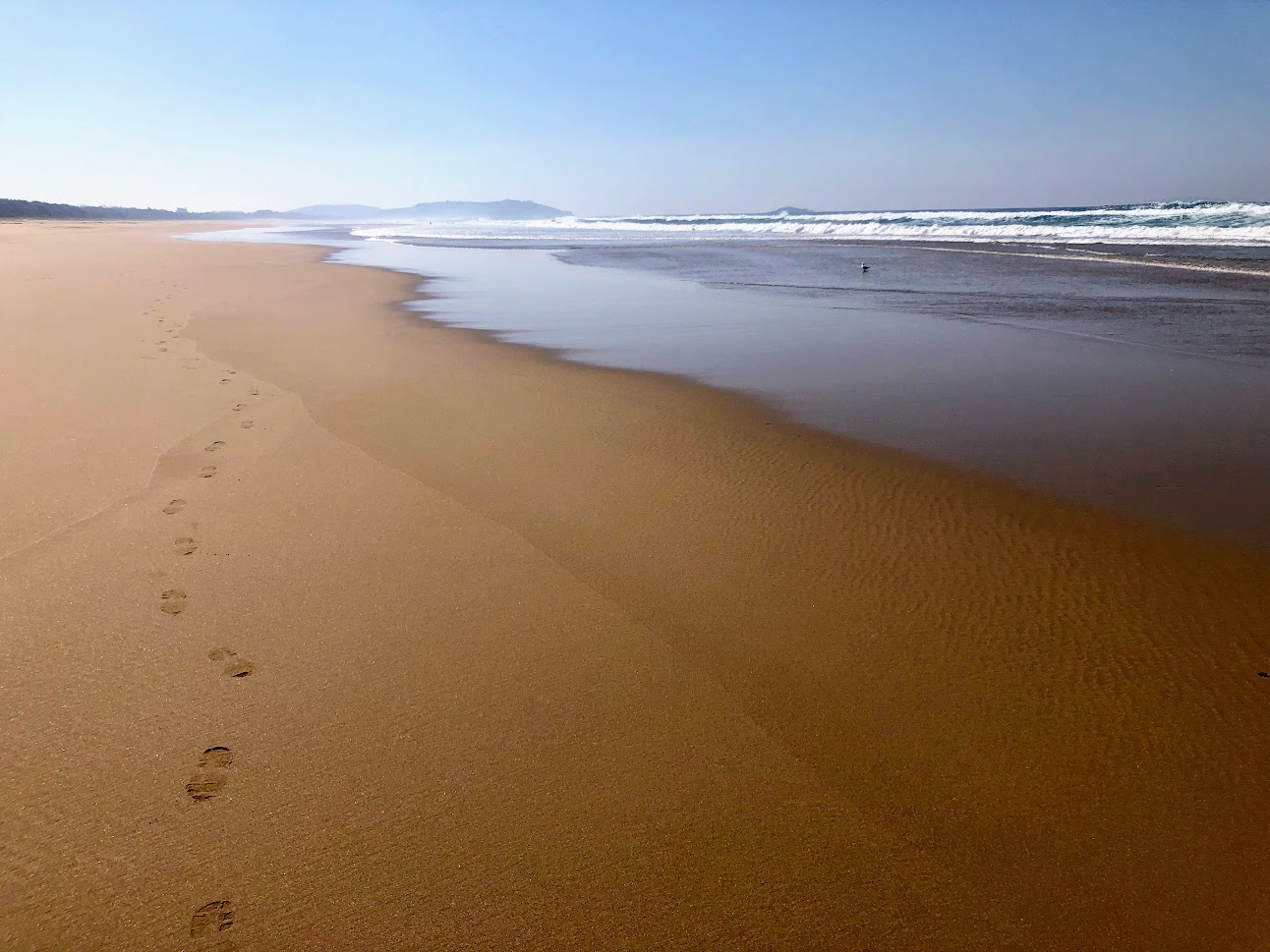 Long Stretch Of Boambee Beach