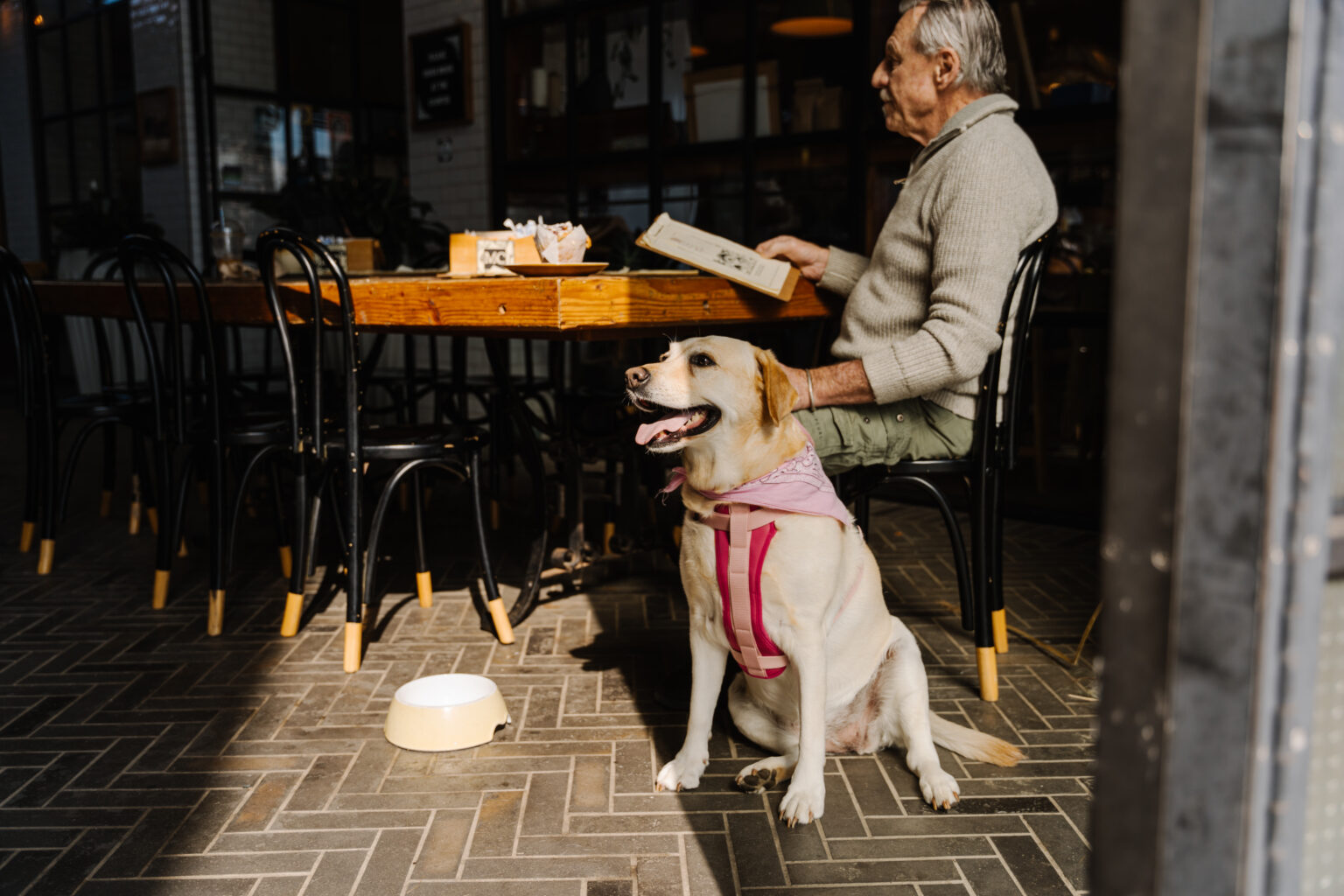 Covered Outside Seating & Plenty Of Water Bowls At Black Apple