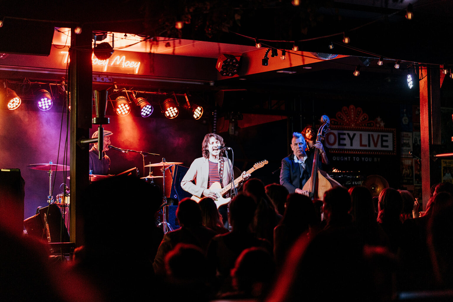 Live music at the Hoey Moey