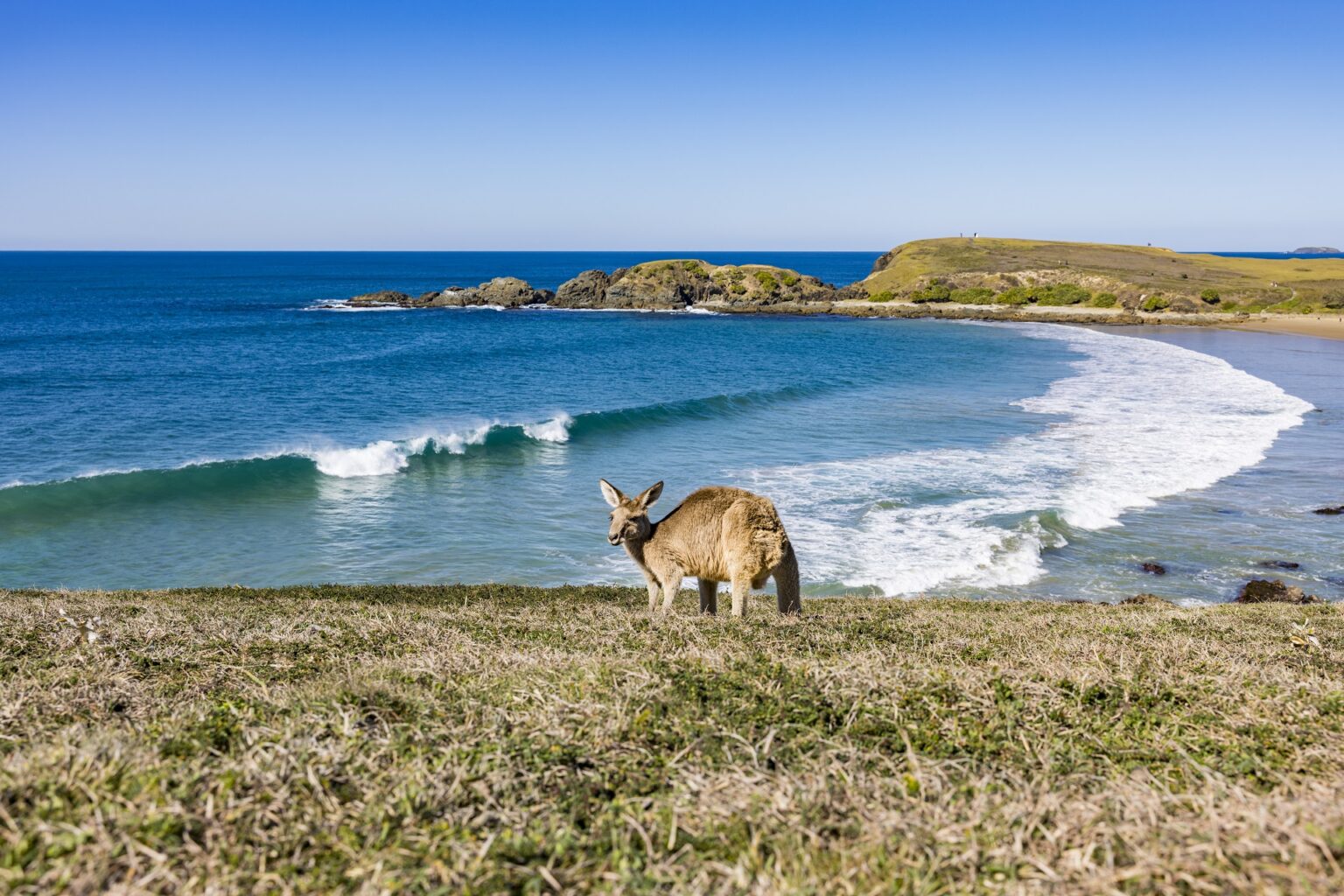 Look At Me Now Headland