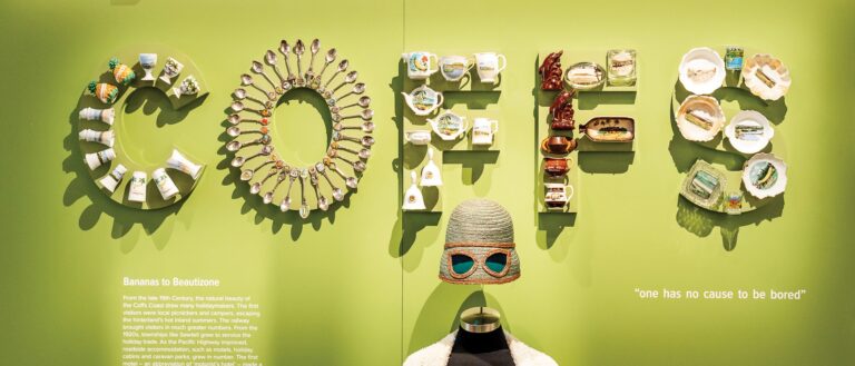 Yaamanga Around here installation view