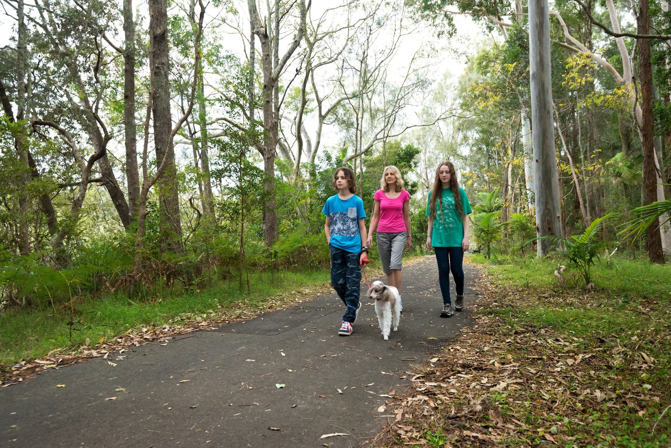 Coffs Creek Walk