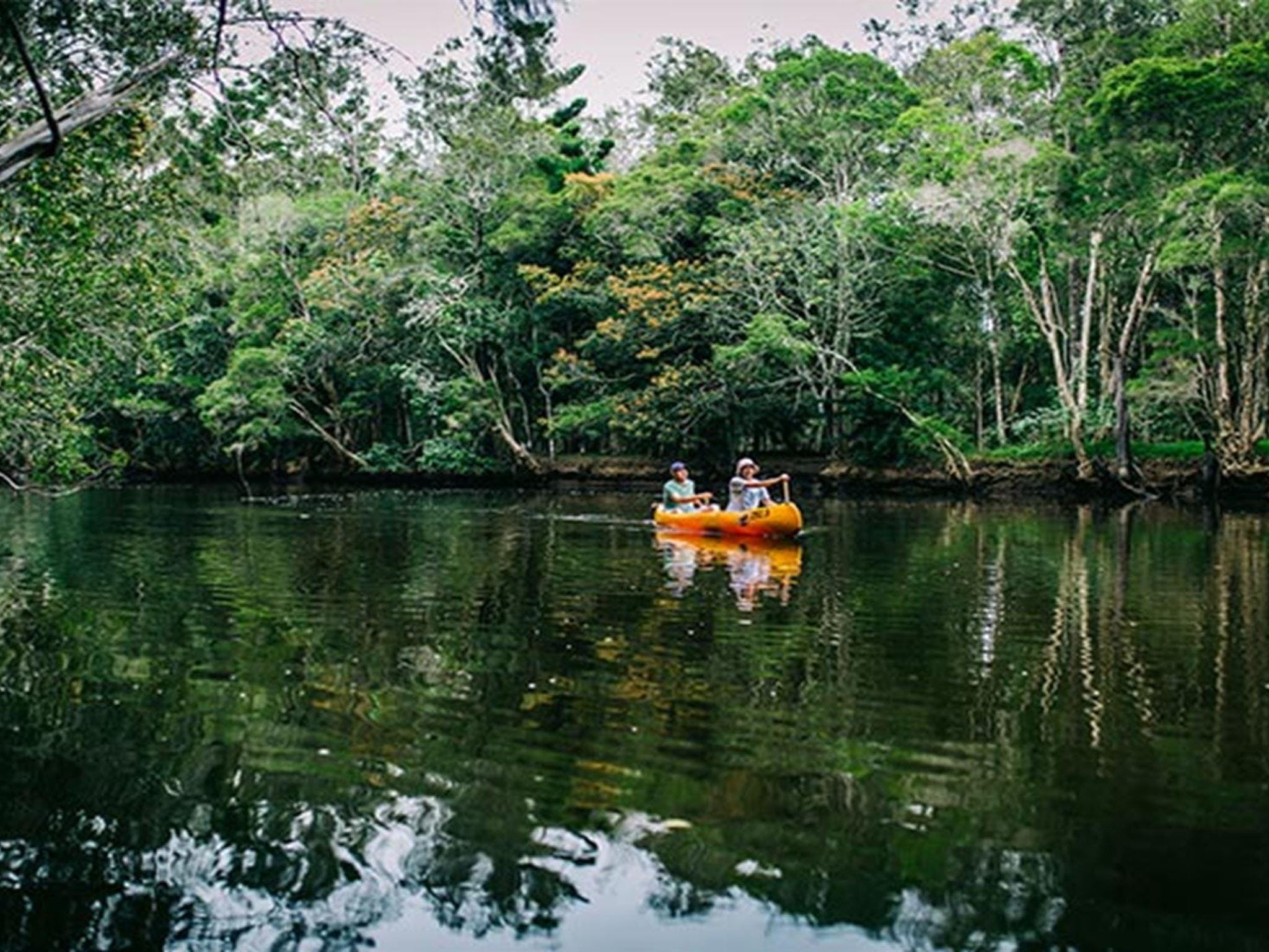 View of  2 people canoeing on Pine Creek, with a tree branch in the foreground and creek bank in