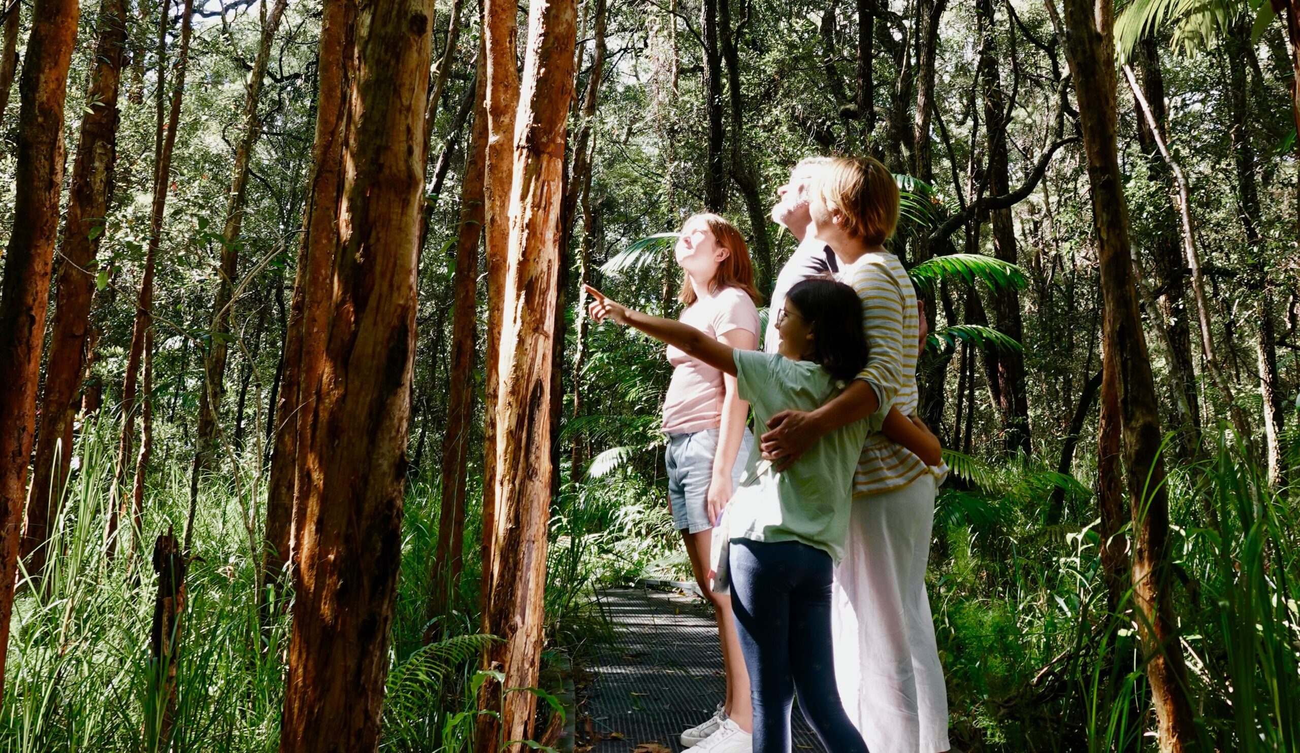 People walking in the forest