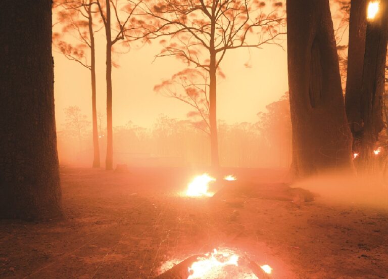 My Country Burns, by Samuel Markham, Overall Winner 2023 Australian Geographic Nature Photographer o