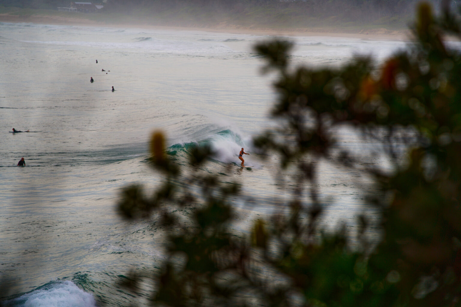 Macauleys Welcomes Waves Year-Round