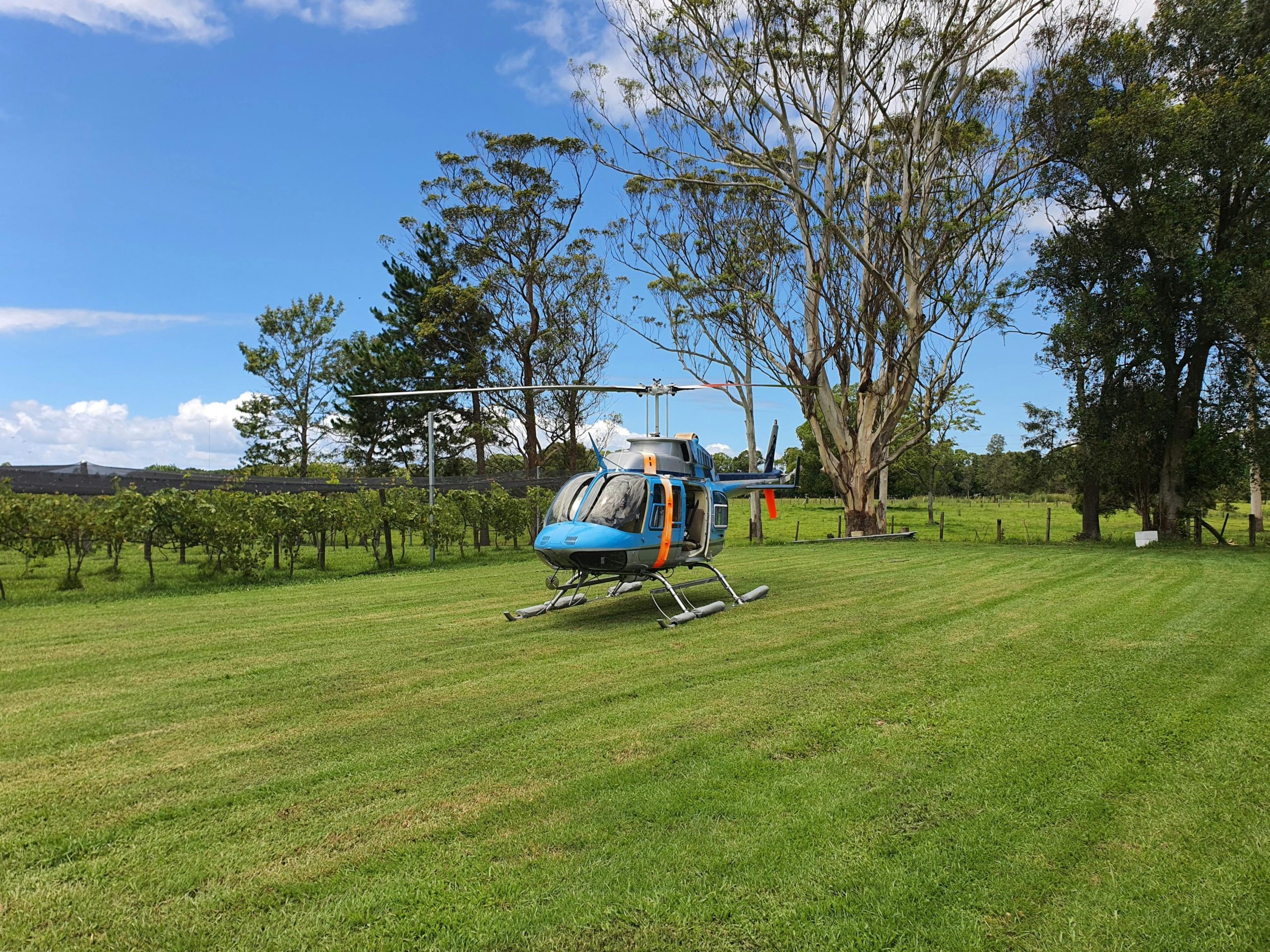 Helicopter landed at a vineyard with blue sky and green grass