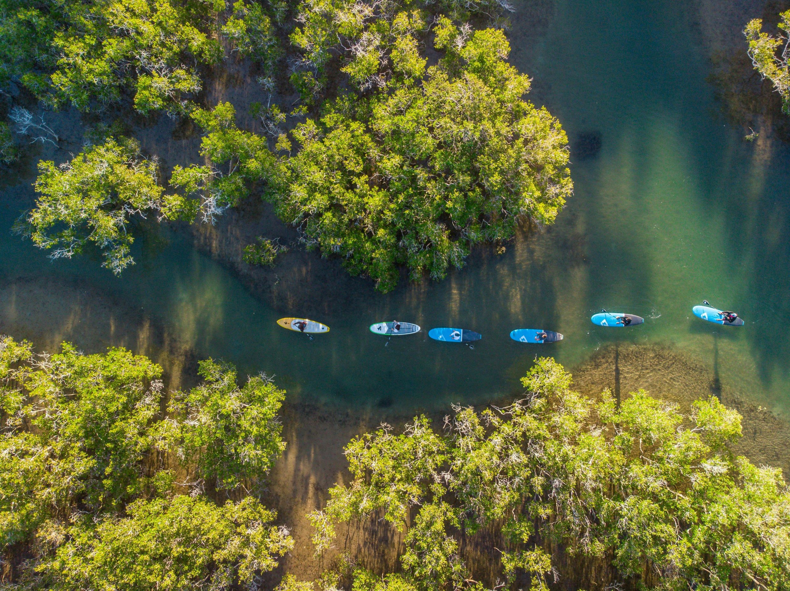 Stand up Paddleboarding Moonee Creek