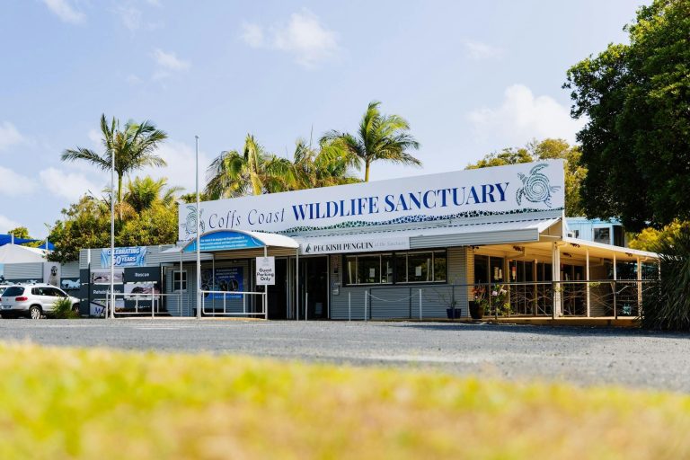 Visit us daily from 9am - 3pm, located alongside Coffs Creek, near the Jetty.