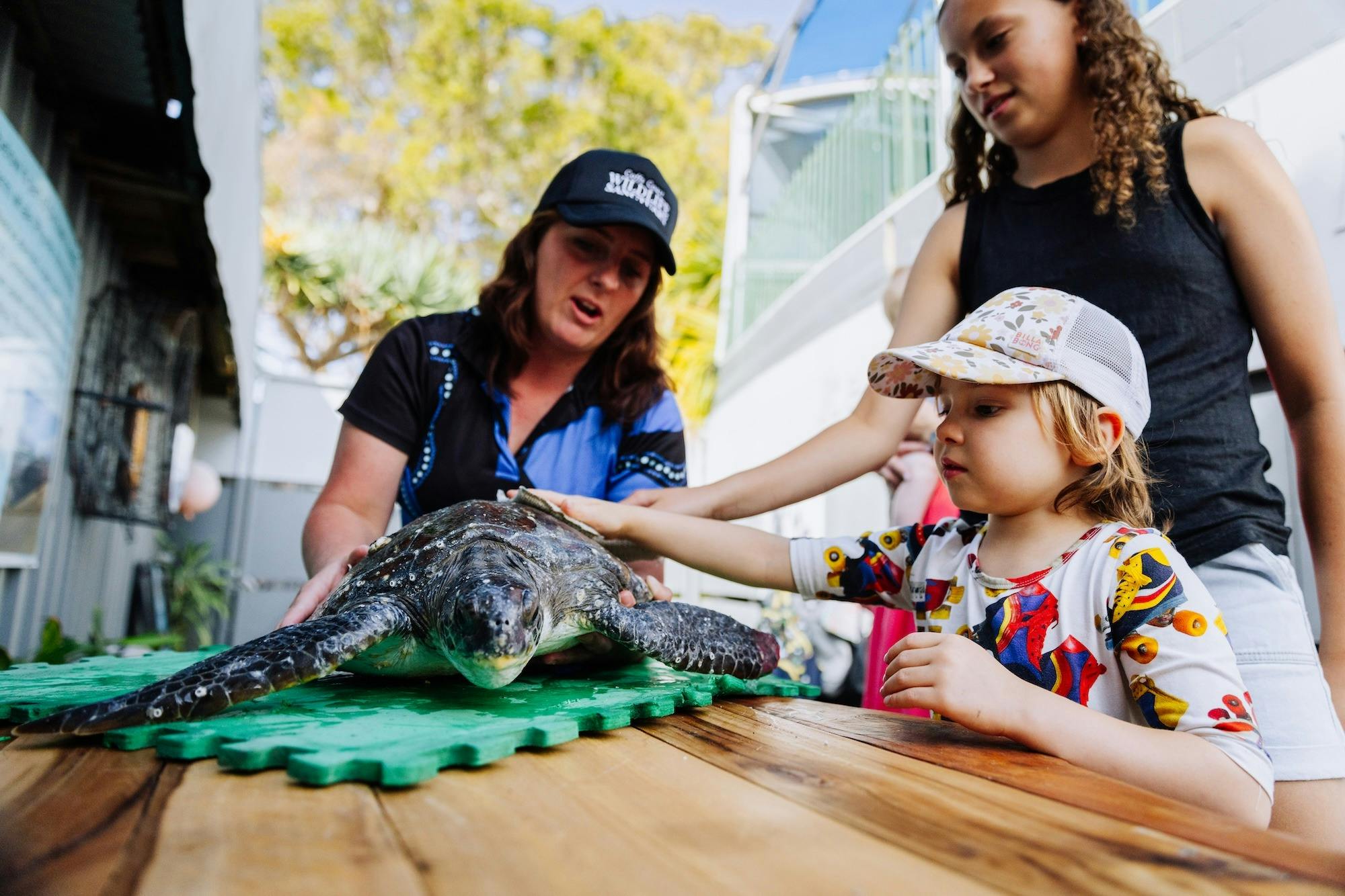 See how we care for rescued animals, and learn about what you can do to help.