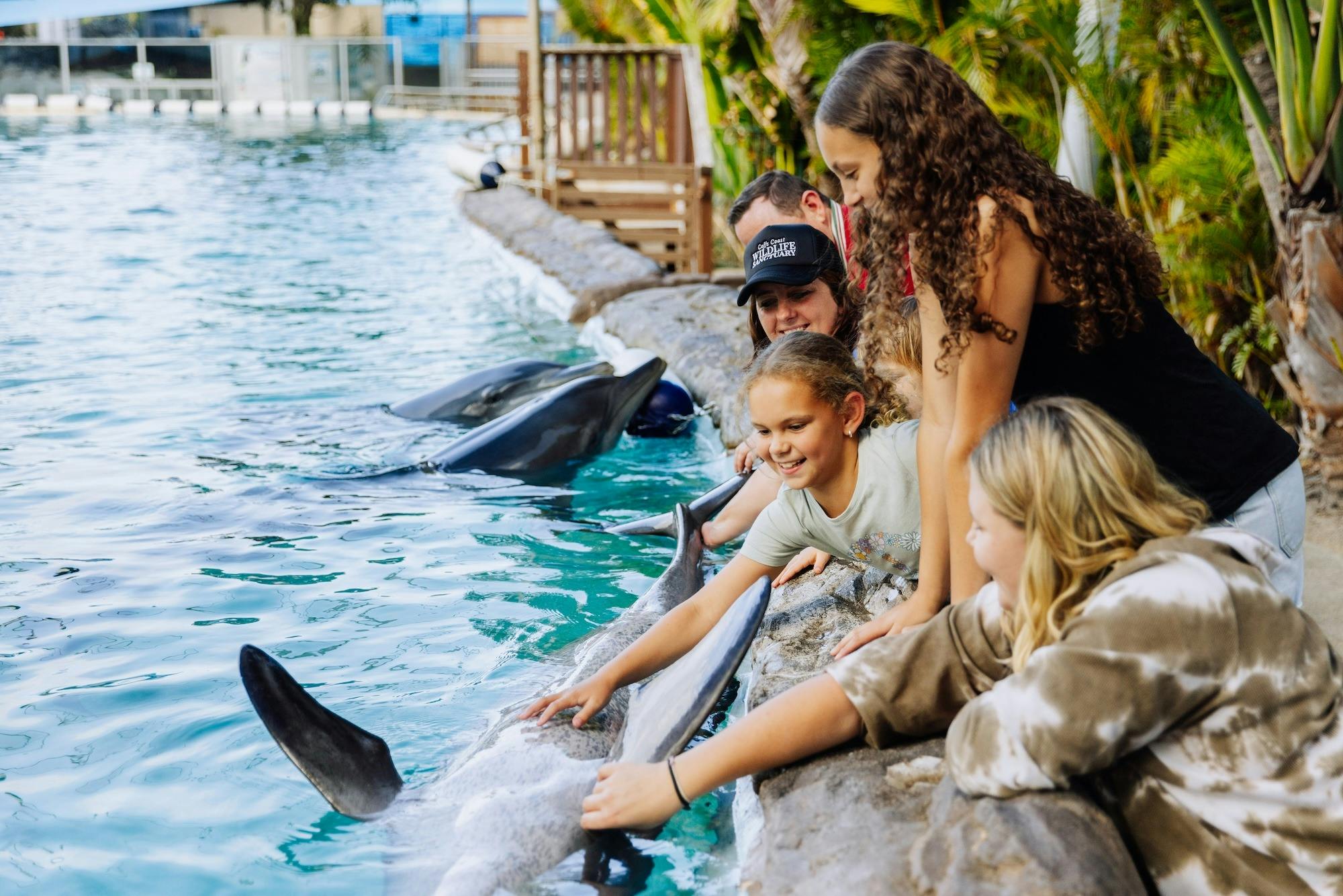 Meet the dolphins - watch the presentation, learn about these beautiful creatures, or get up close.