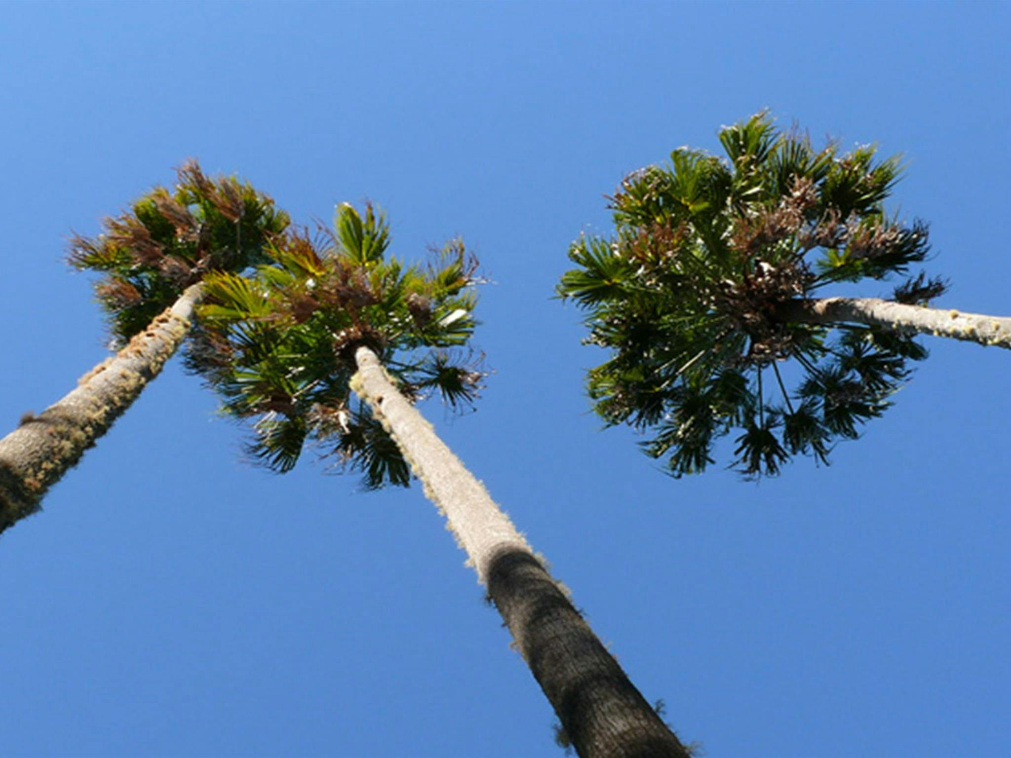 Bindarri National Park. Photo: Helen Clark/NSW Government