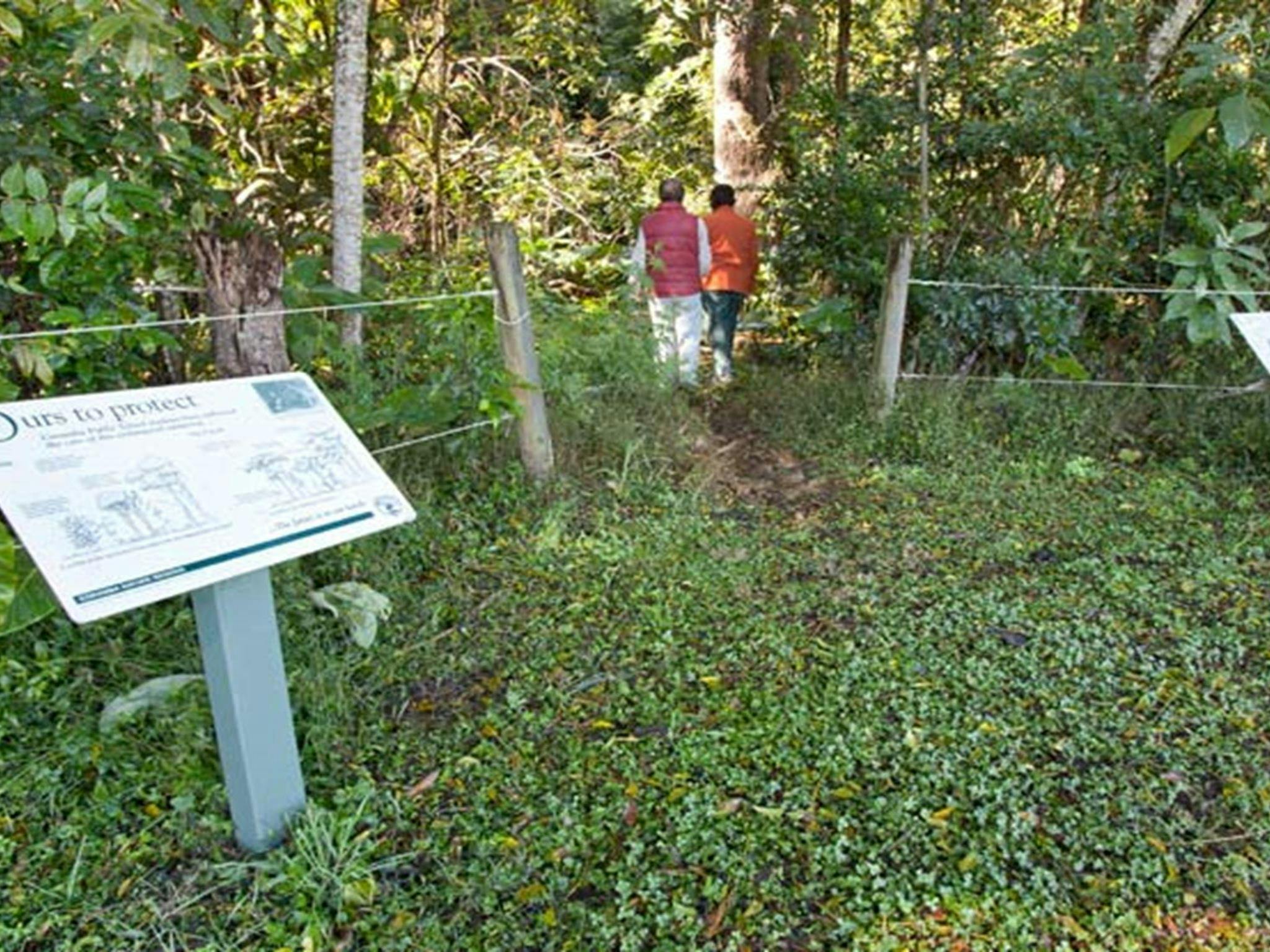 Coramba Nature Reserve. Photo: Robert Cleary &copy; DPIE