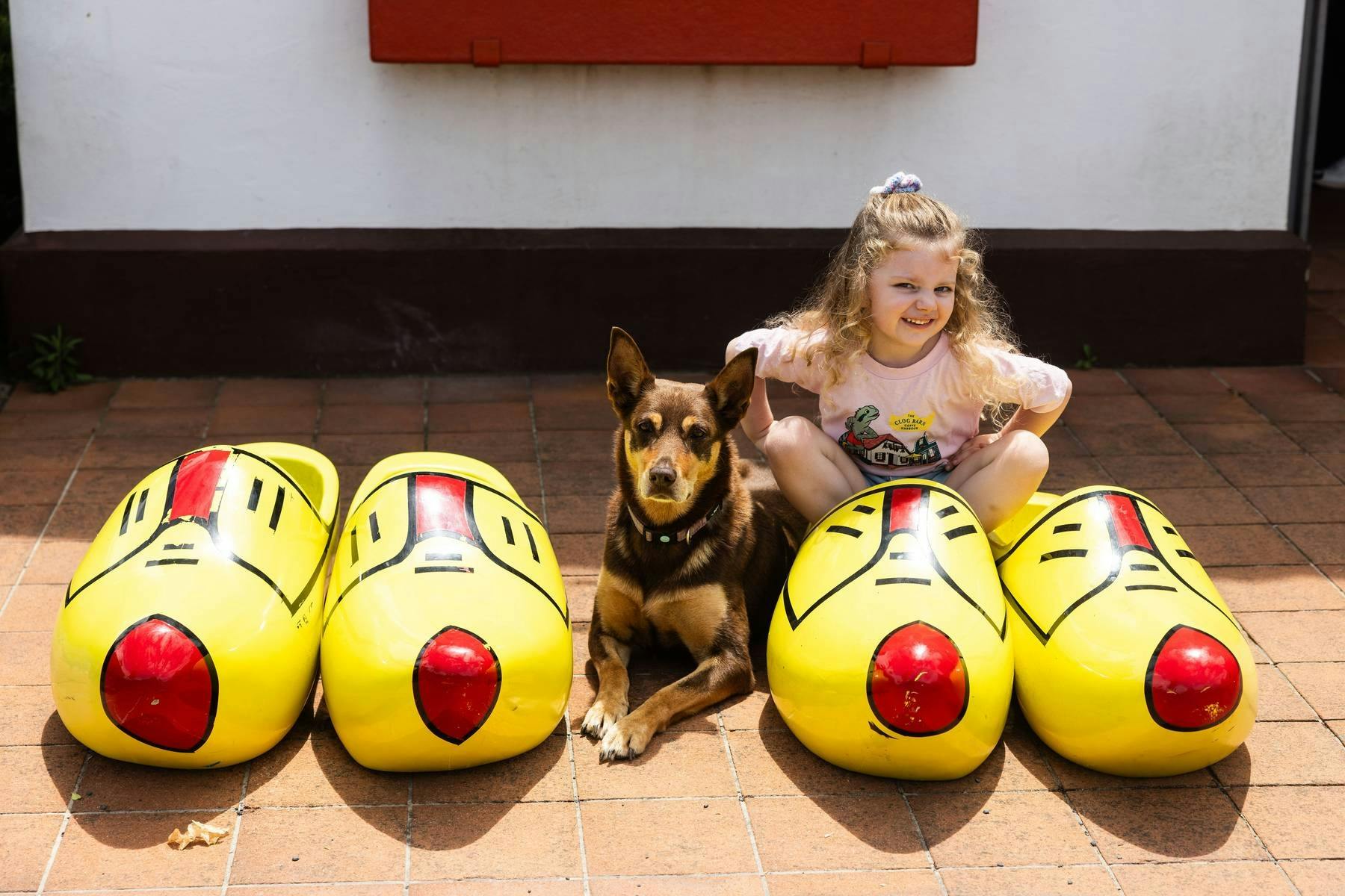 Pet Friendly - Clog Barn Coffs Harbour